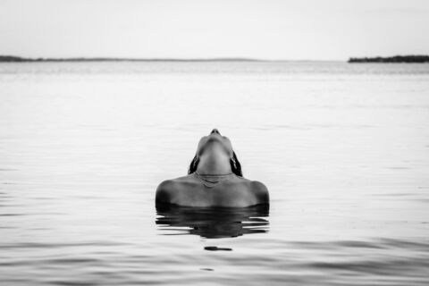 Leaked alexisinked24 header onlyfans leaked