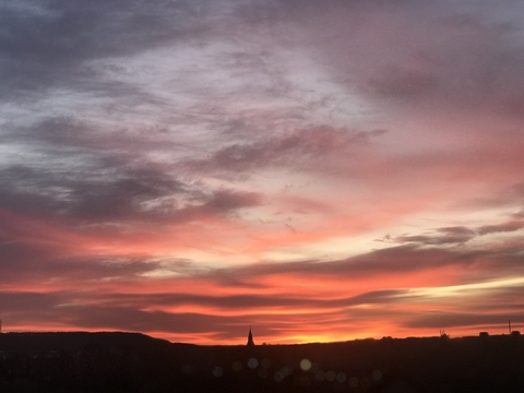 Leaked alicecat header onlyfans leaked