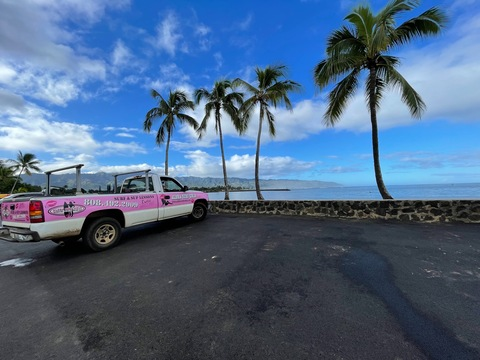Leaked alohasurfgirls header onlyfans leaked