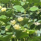 Leaked angelbaby1417 onlyfans leaked