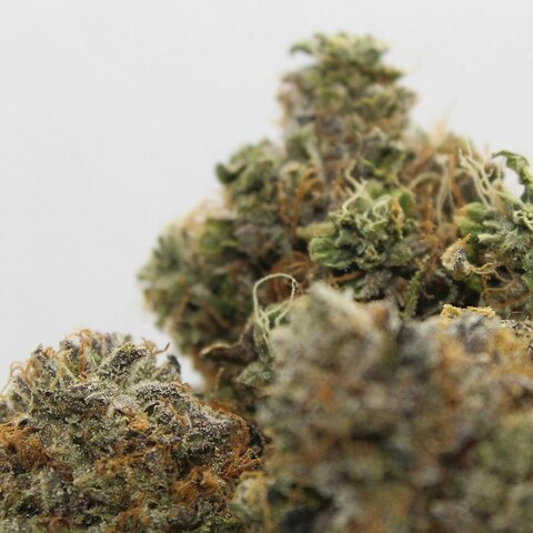 Leaked aquarius420 header onlyfans leaked