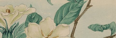 Leaked asiaanastasia header onlyfans leaked
