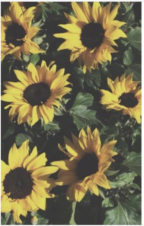 Leaked bashful_misfit header onlyfans leaked