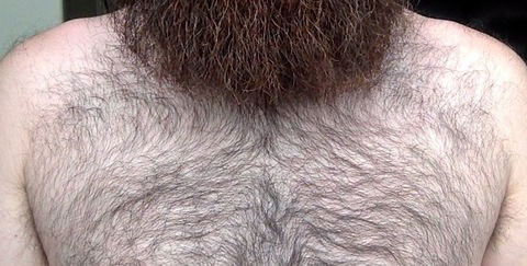 Leaked beard_doe header onlyfans leaked