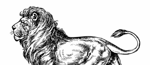 Leaked black.masq header onlyfans leaked