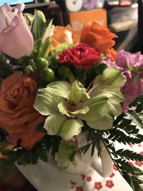 Leaked boardgamequeen header onlyfans leaked