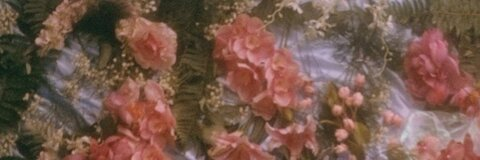 Leaked bwarned header onlyfans leaked