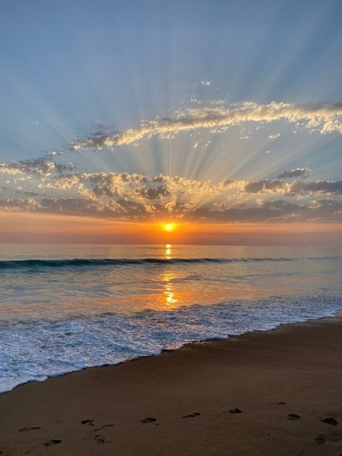 Leaked camilaandrea1431 header onlyfans leaked