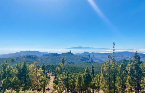 Leaked canaryboyx header onlyfans leaked