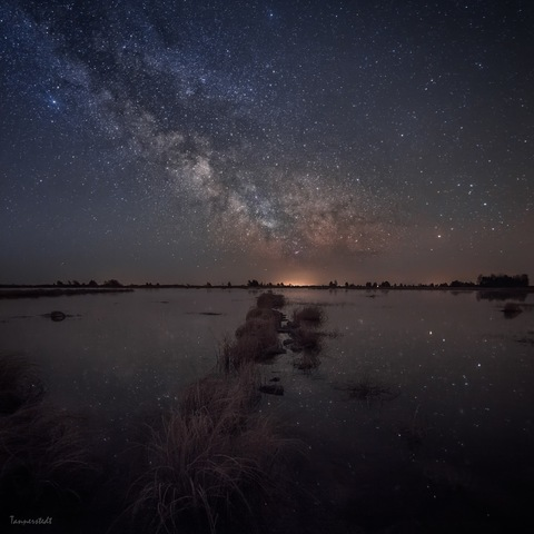 Leaked cardidagoat header onlyfans leaked