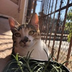 Leaked catladybrazilian onlyfans leaked