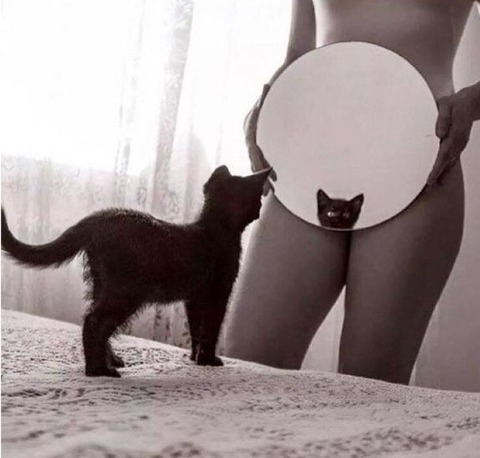 Leaked catladybrazilian header onlyfans leaked
