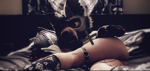 Leaked chihuahua header onlyfans leaked