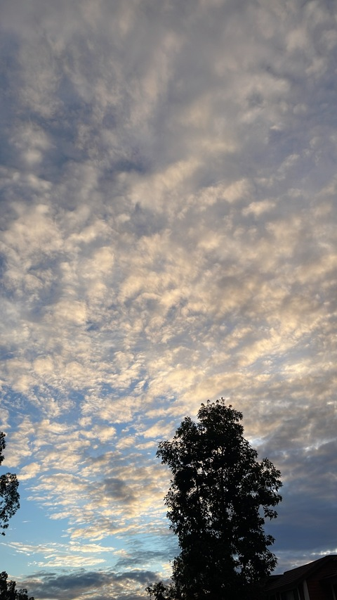 Leaked creamiebrulee header onlyfans leaked