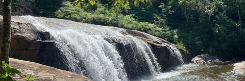 Leaked efeumcarol header onlyfans leaked