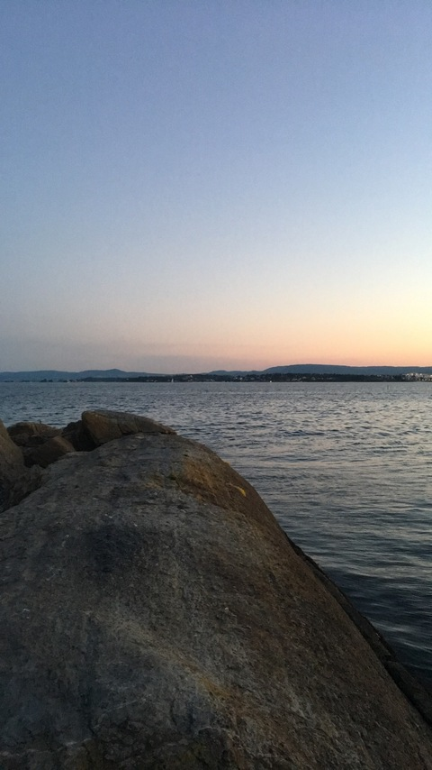 Leaked elliede header onlyfans leaked