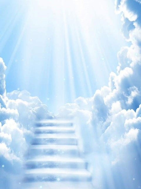 Leaked estella.goddess header onlyfans leaked