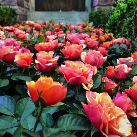 Leaked exposedxin header onlyfans leaked