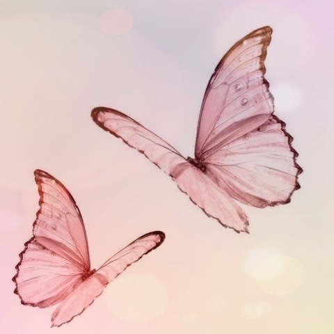 Leaked fairyz222 header onlyfans leaked