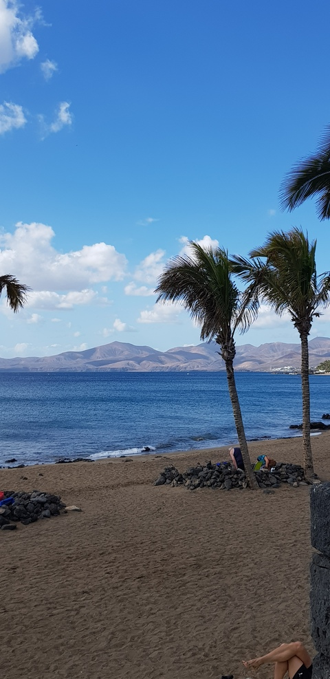 Leaked freaksod20 header onlyfans leaked