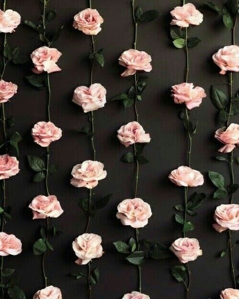 Leaked freebetty header onlyfans leaked