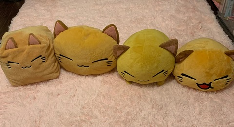 Leaked gingerycarrotkitten header onlyfans leaked