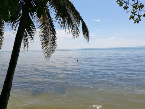 Leaked girlswhobikini header onlyfans leaked