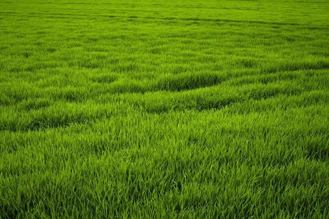 Leaked green_katya header onlyfans leaked