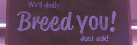 Leaked haruphine header onlyfans leaked