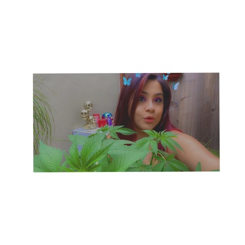 Leaked ivykushbaby header onlyfans leaked