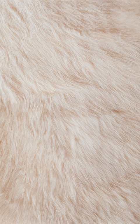 Leaked jaymissy header onlyfans leaked
