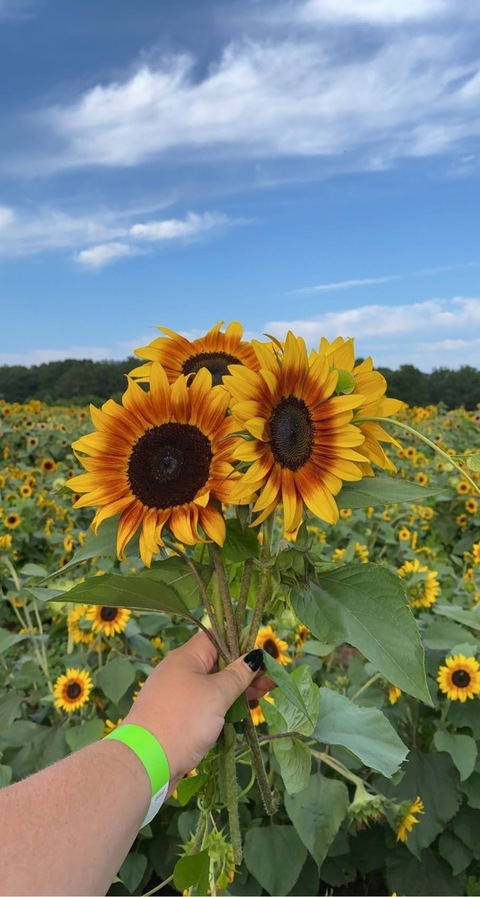 Leaked kaayemango header onlyfans leaked