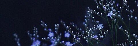 Leaked kathlynn header onlyfans leaked