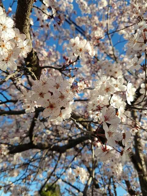 Leaked katyrivaderoo header onlyfans leaked