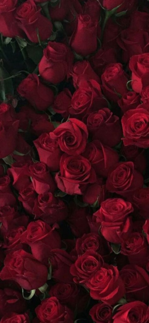 Leaked kaylabaylababyy header onlyfans leaked