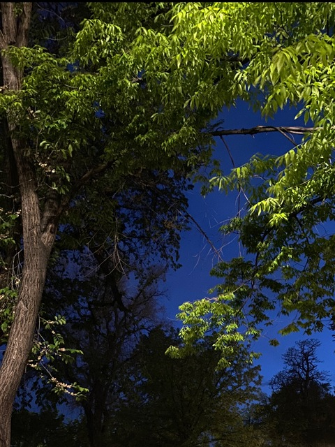 Leaked kismetjane header onlyfans leaked