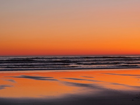 Leaked kitty_nectar header onlyfans leaked