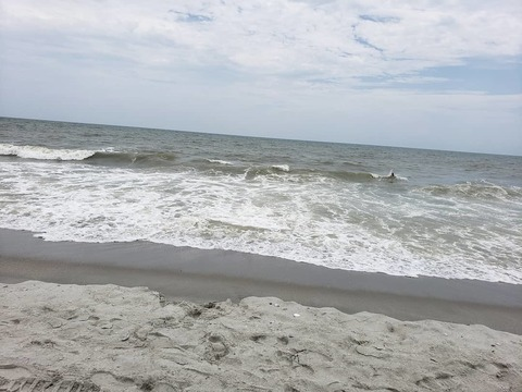 Leaked lannez header onlyfans leaked