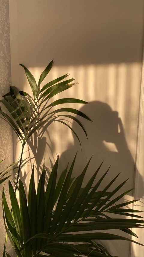 Leaked lipsandhoneydips header onlyfans leaked