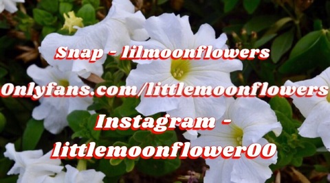 Leaked littlemoonflowers header onlyfans leaked