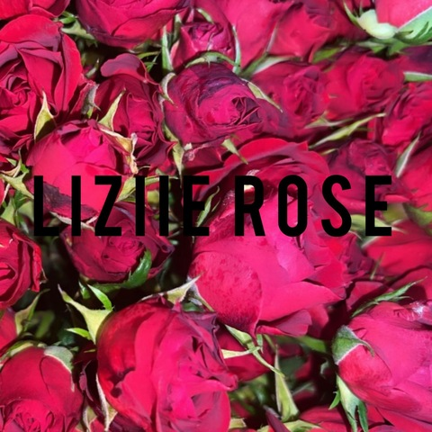 liziierosex OnlyFans - Free Access to 50 Videos & 243 Photos Onlyfans Free Access