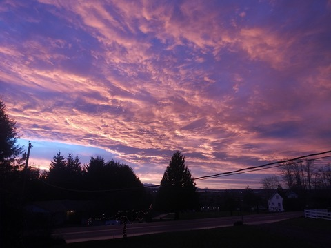 Leaked lovesaucyy header onlyfans leaked