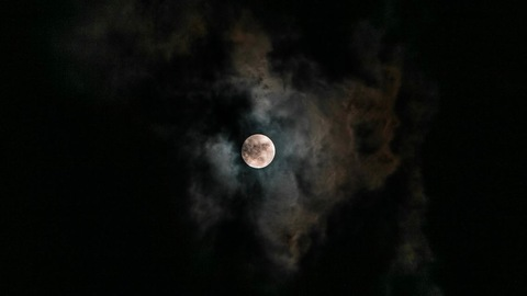 Leaked lunaonmoon header onlyfans leaked