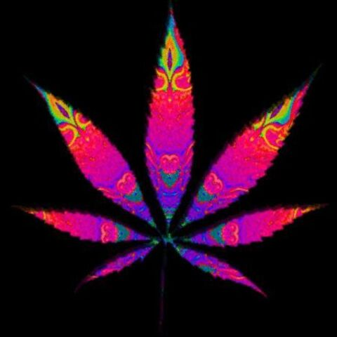 Leaked majorpayne13 header onlyfans leaked