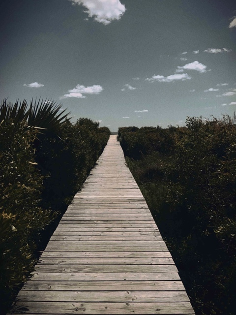 Leaked medicalstudent header onlyfans leaked