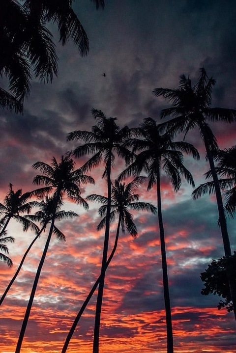 Leaked mel.trinca header onlyfans leaked