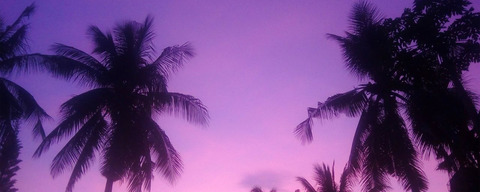 Leaked meowvicka header onlyfans leaked