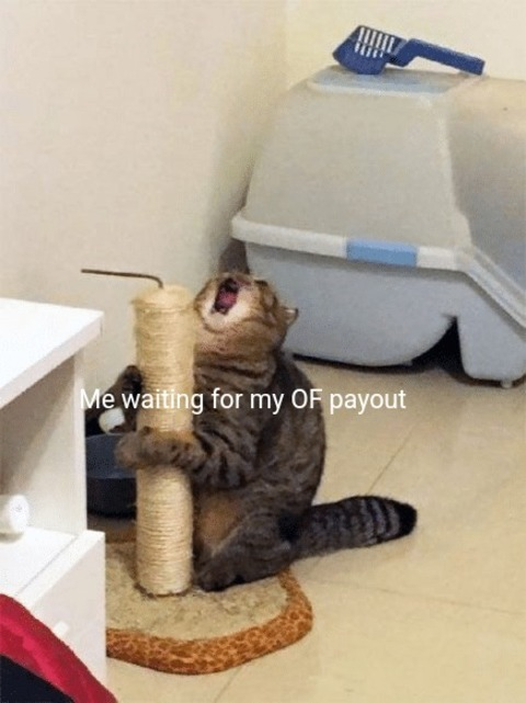 Leaked mercy_ts header onlyfans leaked