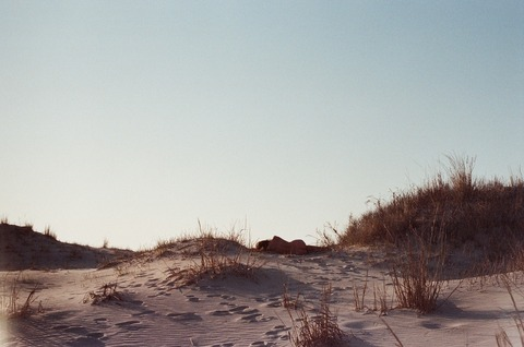 Leaked mermermeredith header onlyfans leaked