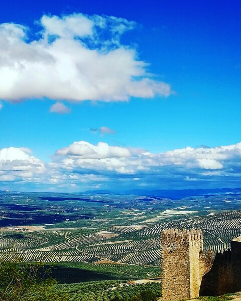 Leaked miguelalcazar header onlyfans leaked